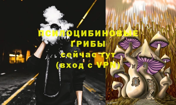 первитин Абаза